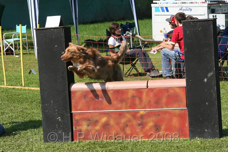 jubil.lusten. 239.jpg